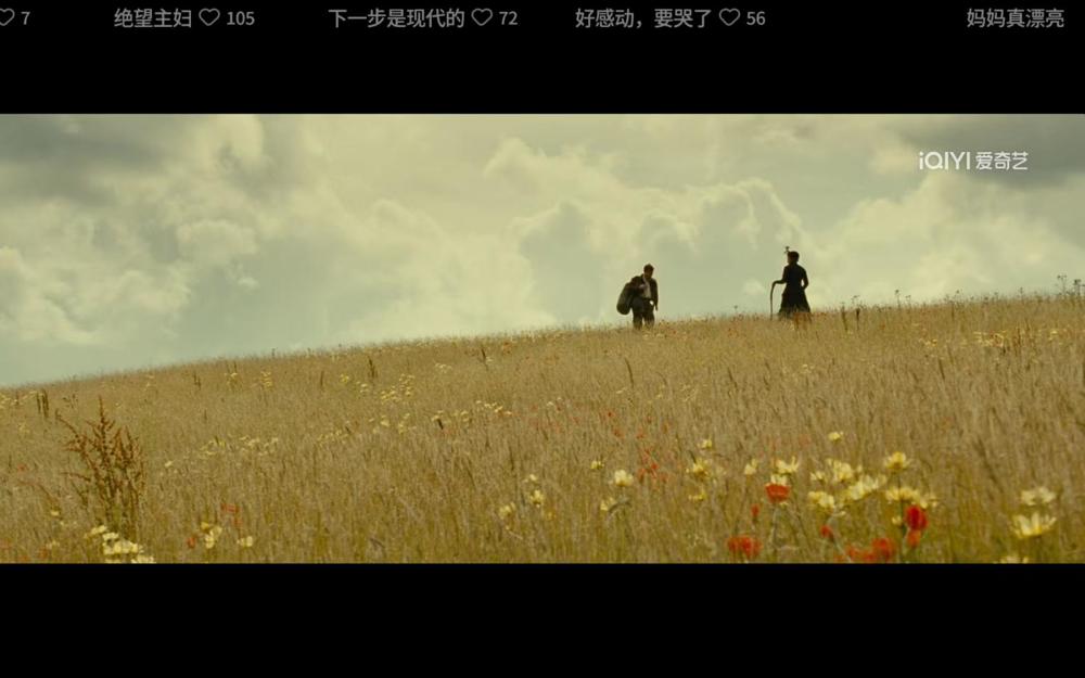 799efe9cc43b83b4866e72fca2ab8bf