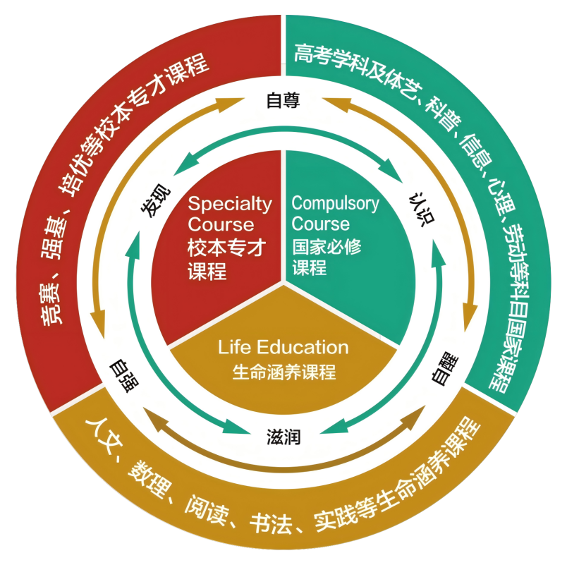课程培养体系圆饼图