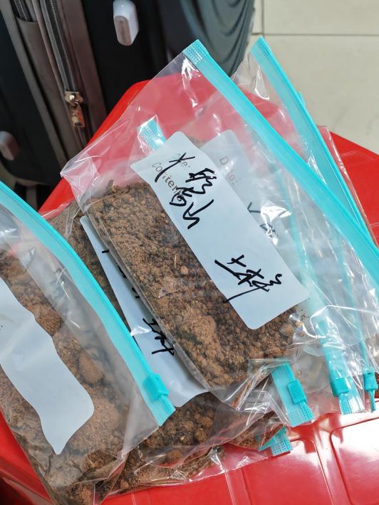 7bbdf6d6364b87db690e9c3a76056c31