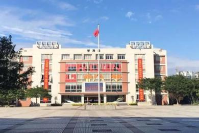 以书为阶，阅见成长——2025-2026学年图书馆阅读活动总结